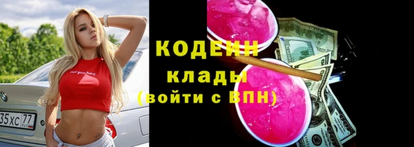 прущий лед Дмитриев